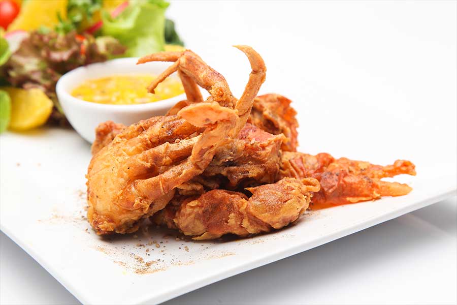 Buy DOA FSC2-381 Soft Shell Crab, Root/Pearl Online at desertcartCyprus